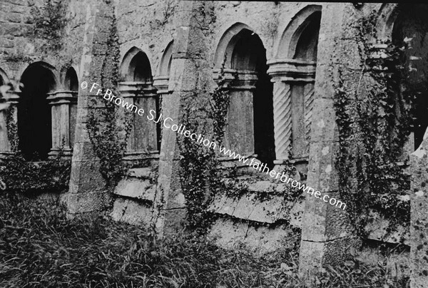 QUINN ABBEY  CLOISTERS  NORTH SIDE